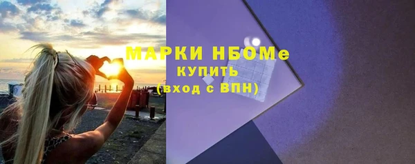 индика Богородицк