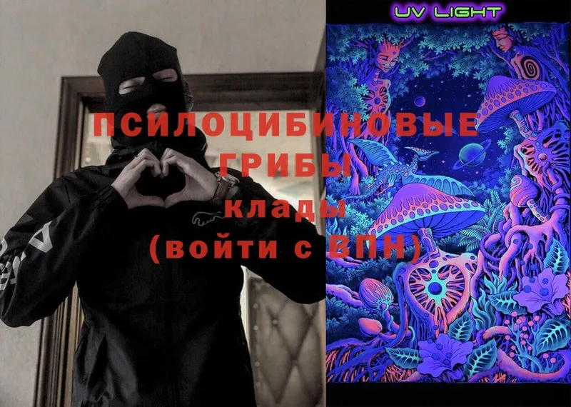 Псилоцибиновые грибы Magic Shrooms  Выборг 